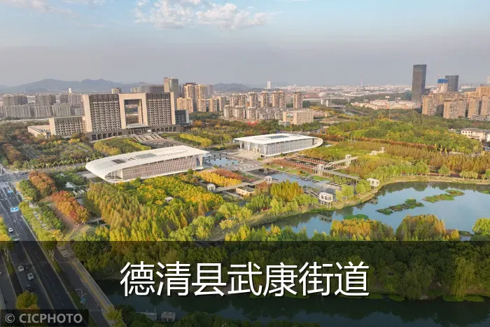 德清县武康街道